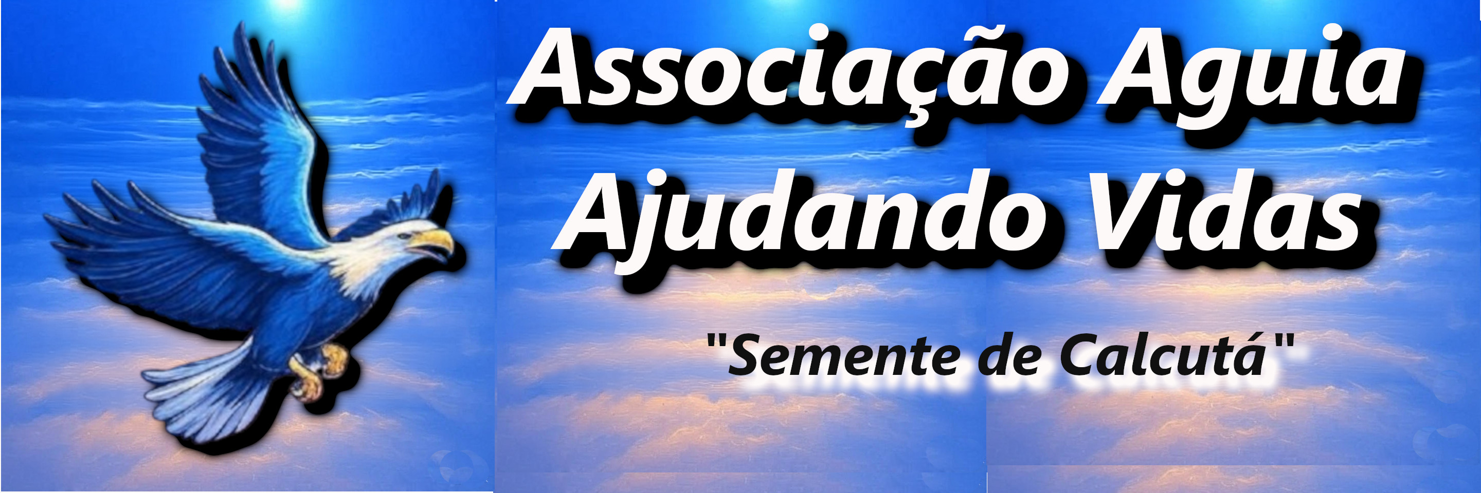 Projeto Educacional da Associação Águia